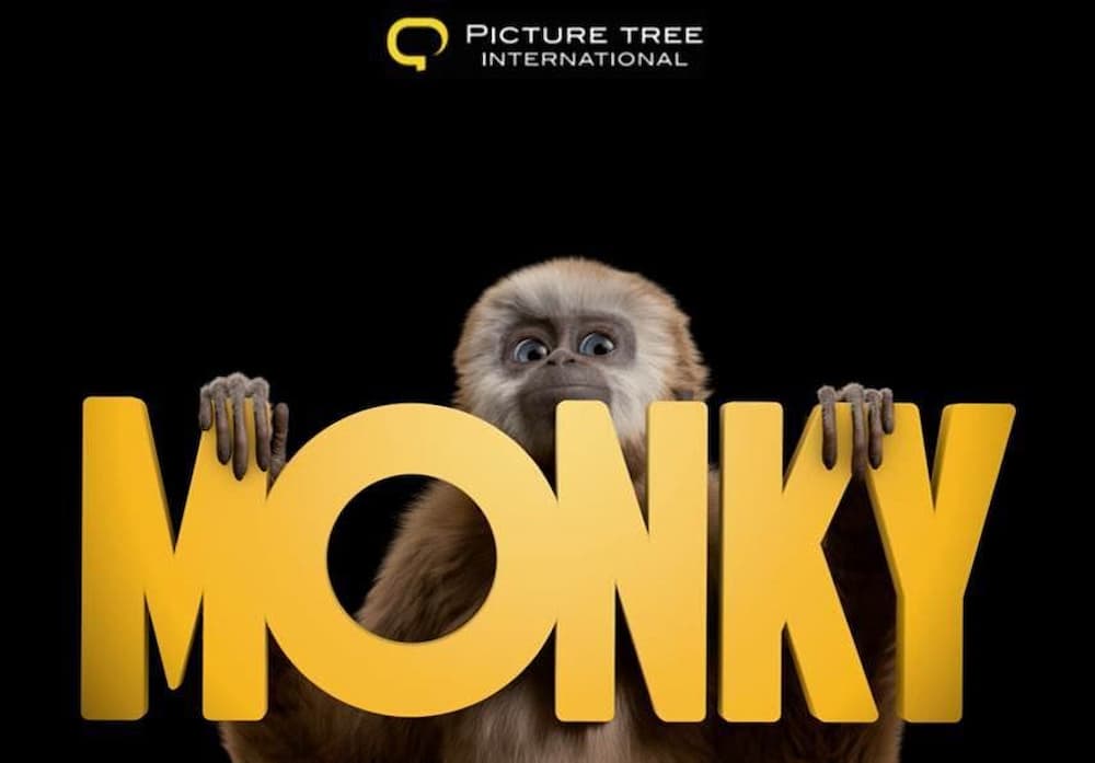 Monky